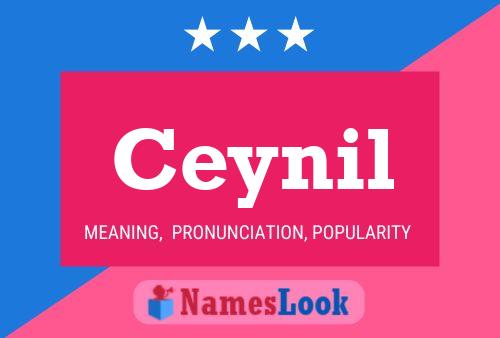 ملصق اسم Ceynil