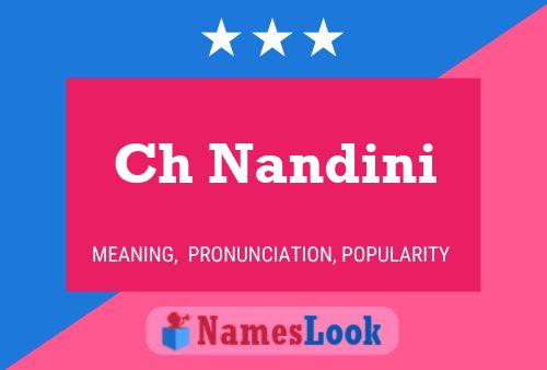 ملصق اسم Ch Nandini