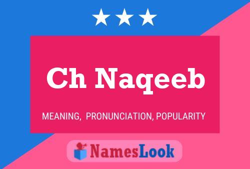 ملصق اسم Ch Naqeeb