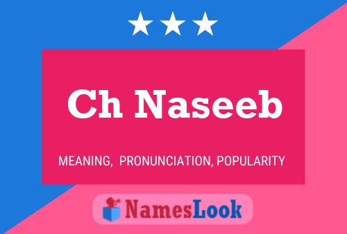 ملصق اسم Ch Naseeb