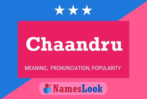 ملصق اسم Chaandru