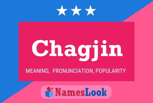 ملصق اسم Chagjin