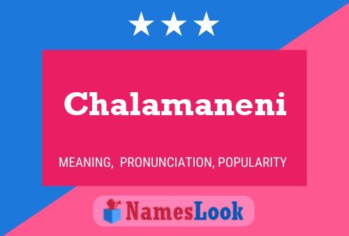 ملصق اسم Chalamaneni