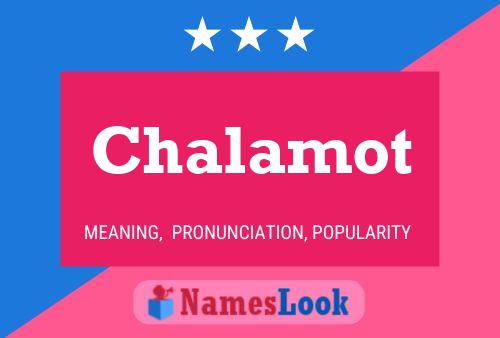 ملصق اسم Chalamot