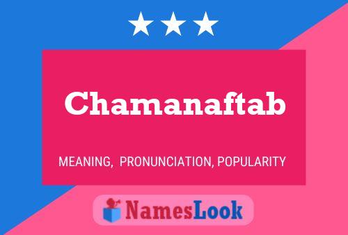 ملصق اسم Chamanaftab