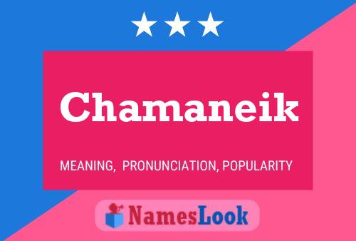 ملصق اسم Chamaneik