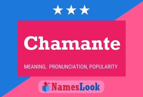 ملصق اسم Chamante