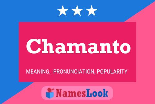 ملصق اسم Chamanto