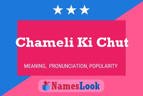 ملصق اسم Chameli Ki Chut