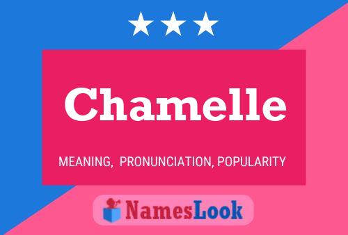 ملصق اسم Chamelle