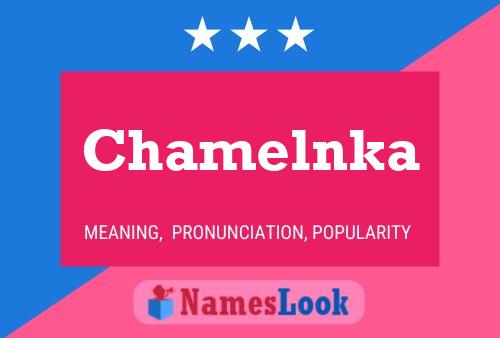 ملصق اسم Chamelnka