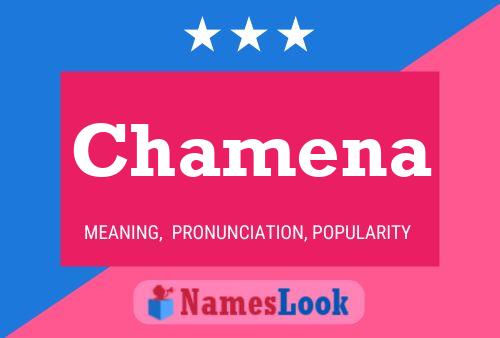 ملصق اسم Chamena