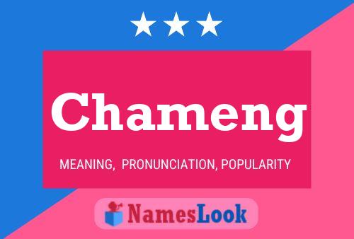 ملصق اسم Chameng