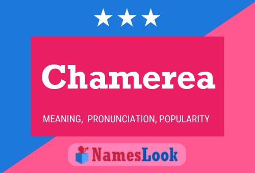 ملصق اسم Chamerea