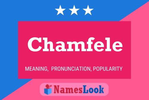 ملصق اسم Chamfele