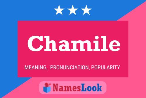 ملصق اسم Chamile