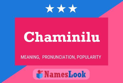 ملصق اسم Chaminilu