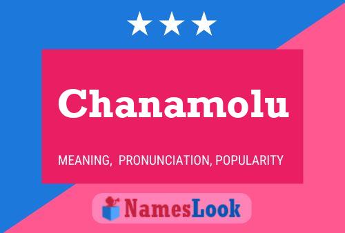 ملصق اسم Chanamolu