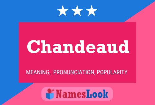 ملصق اسم Chandeaud