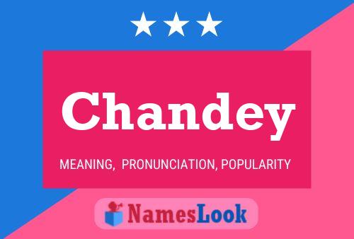 ملصق اسم Chandey