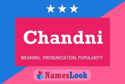 ملصق اسم Chandni