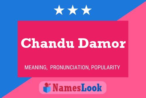 ملصق اسم Chandu Damor