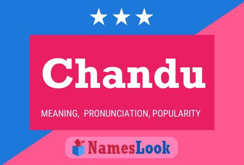 ملصق اسم Chandu