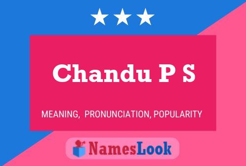 ملصق اسم Chandu P S