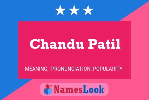 ملصق اسم Chandu Patil