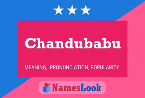 ملصق اسم Chandubabu