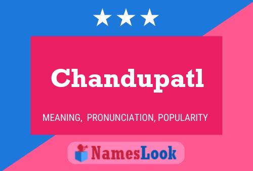 ملصق اسم Chandupatl