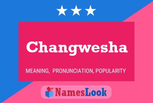 ملصق اسم Changwesha