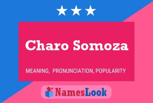 ملصق اسم Charo Somoza