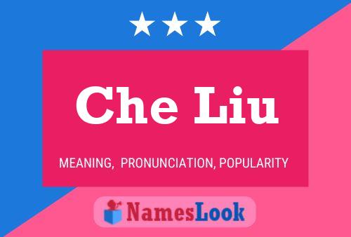 ملصق اسم Che Liu