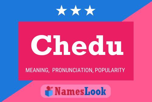 ملصق اسم Chedu