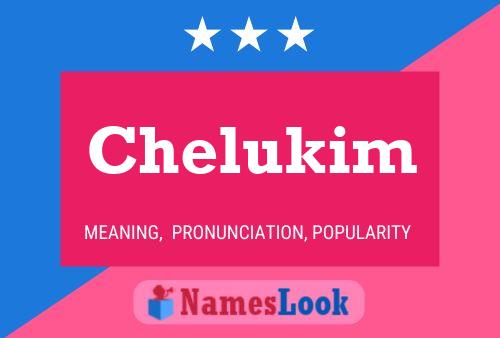 ملصق اسم Chelukim