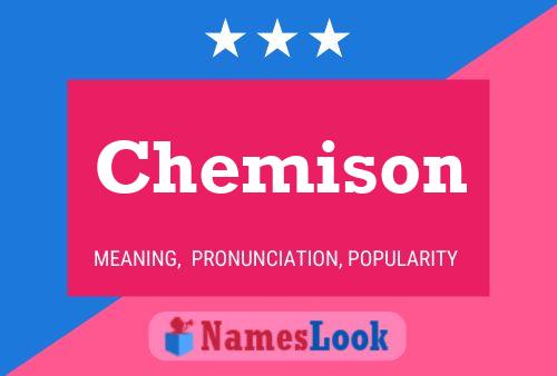 ملصق اسم Chemison