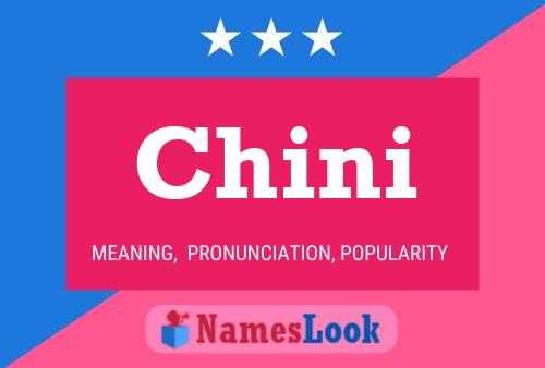 ملصق اسم Chini