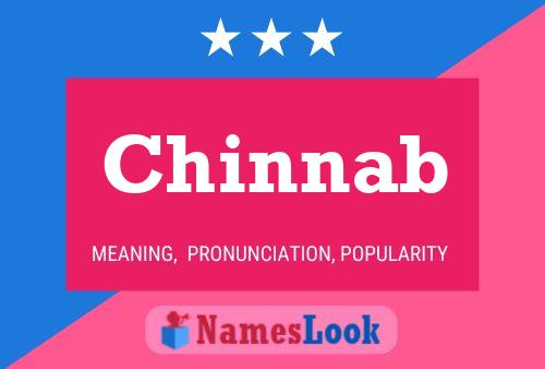 ملصق اسم Chinnab