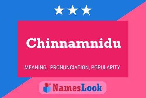 ملصق اسم Chinnamnidu