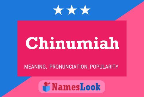 ملصق اسم Chinumiah