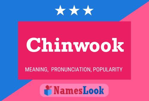 ملصق اسم Chinwook