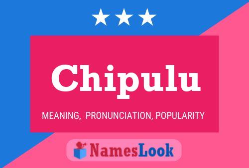 ملصق اسم Chipulu