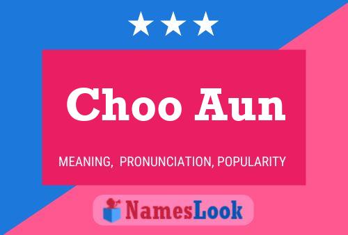 ملصق اسم Choo Aun