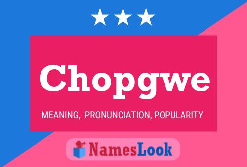 ملصق اسم Chopgwe