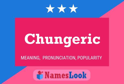 ملصق اسم Chungeric