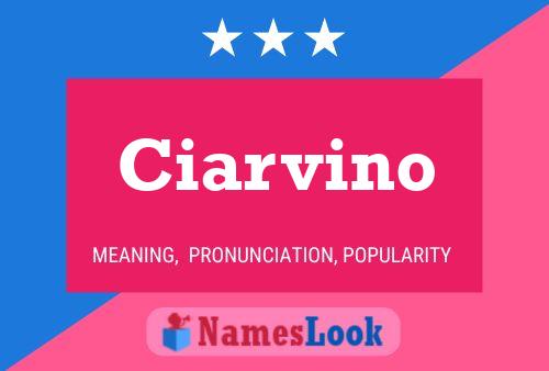 ملصق اسم Ciarvino