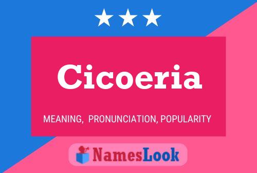 ملصق اسم Cicoeria