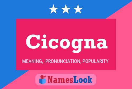 ملصق اسم Cicogna