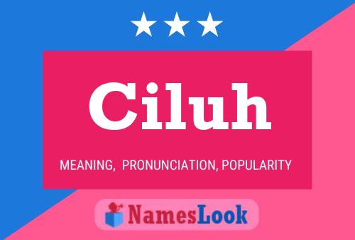 ملصق اسم Ciluh